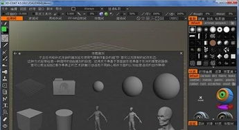 3D Coat v4.8.15 數(shù)字雕塑與游戲設(shè)計(jì)的高效利器